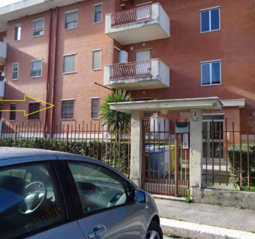 immagine annuncio 1 di 12