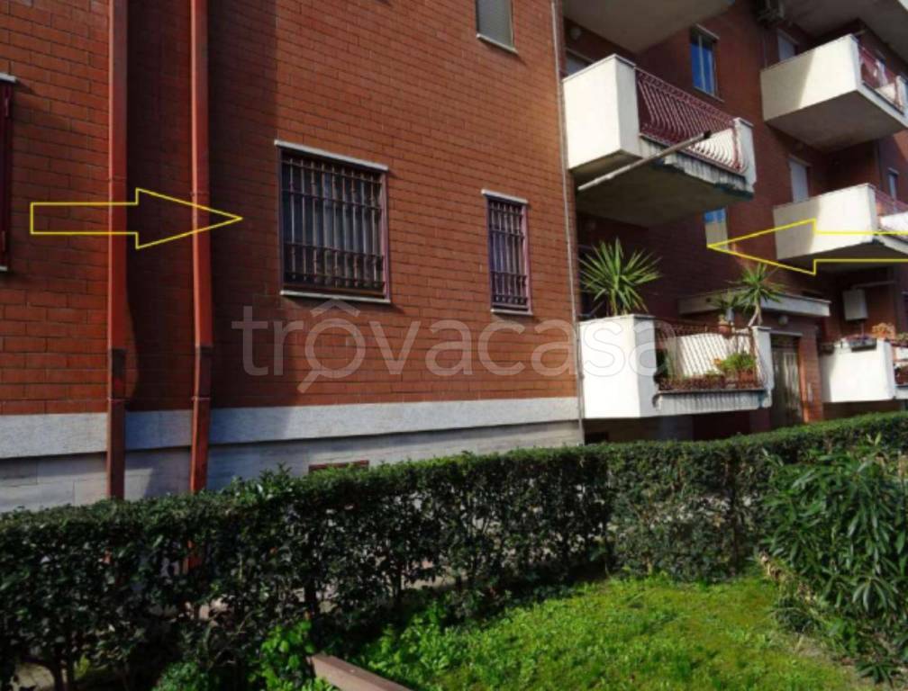 immagine annuncio 3 di 12