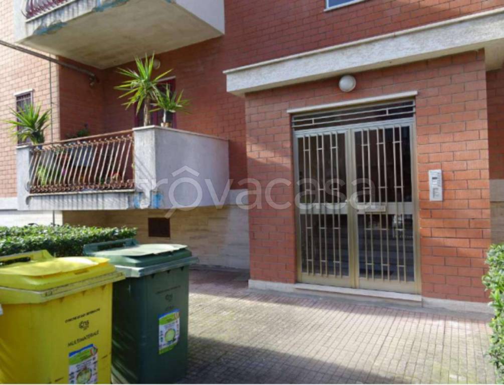 immagine annuncio 4 di 12