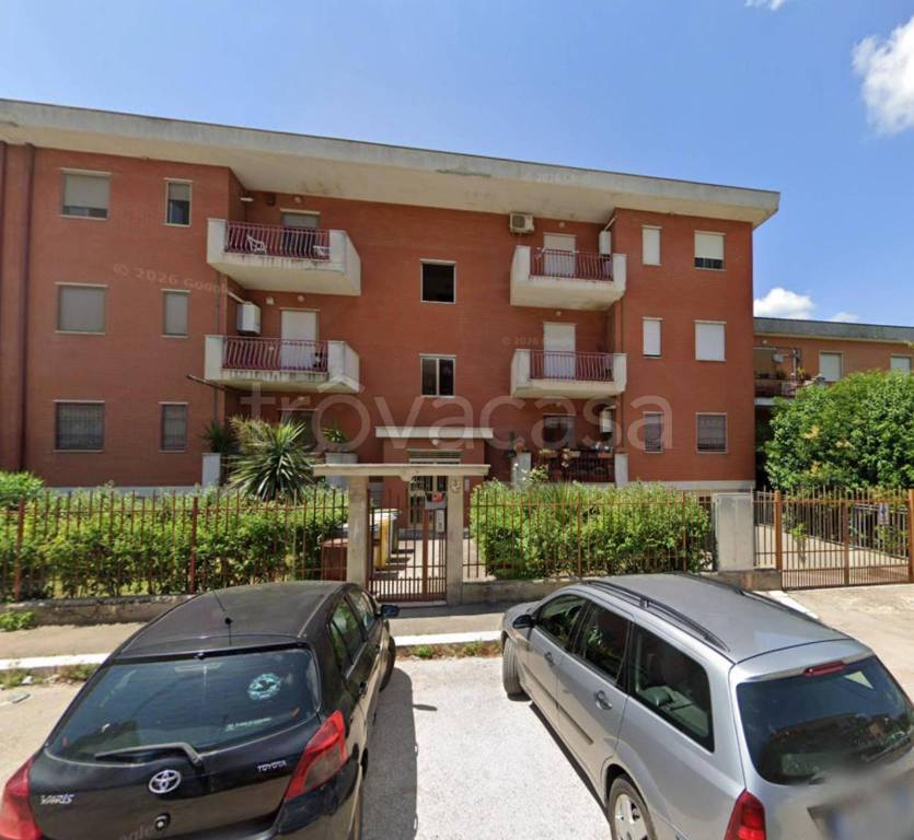 immagine annuncio 9 di 12