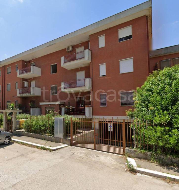 immagine annuncio 10 di 12