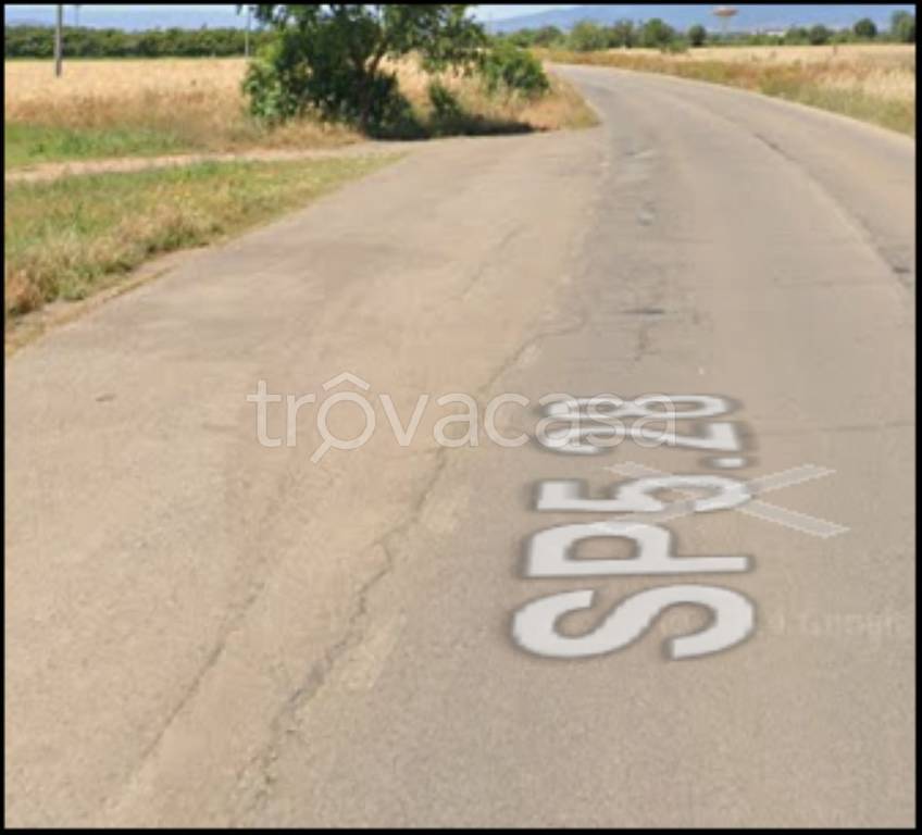 immagine annuncio 3 di 12