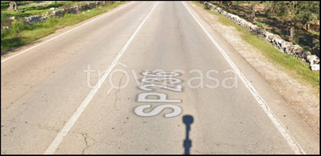 immagine annuncio 9 di 12