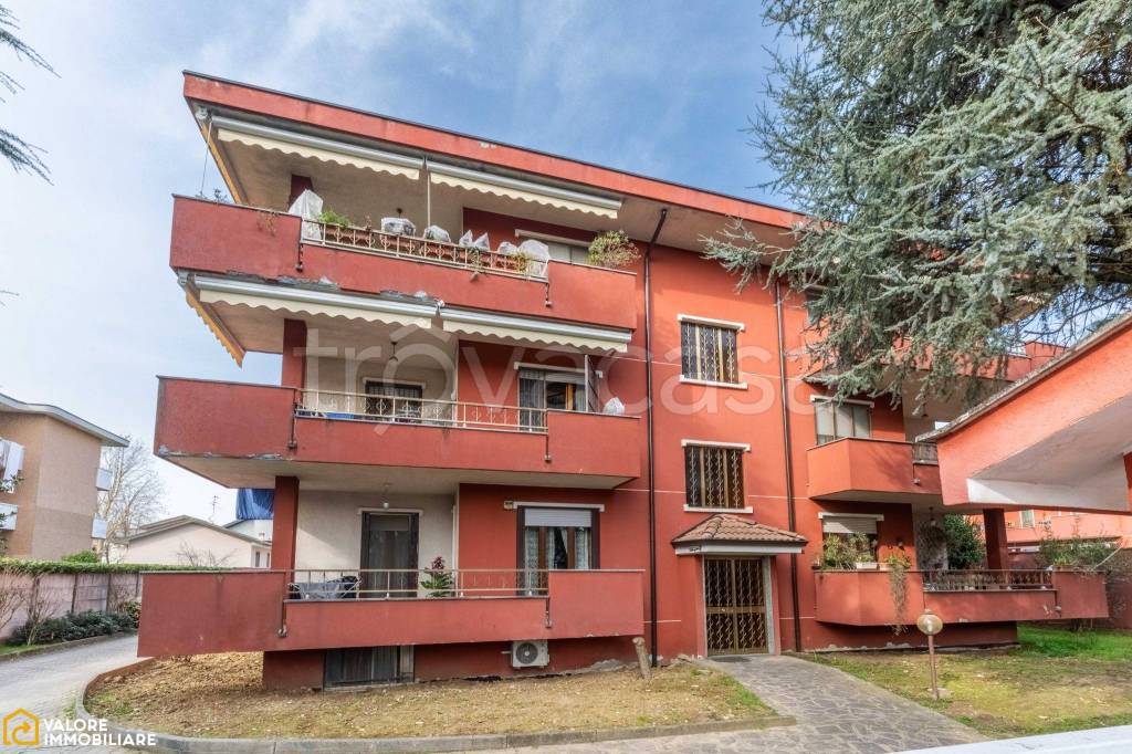 immagine annuncio 1 di 15