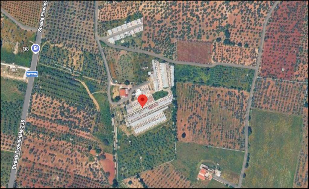 immagine annuncio 11 di 12