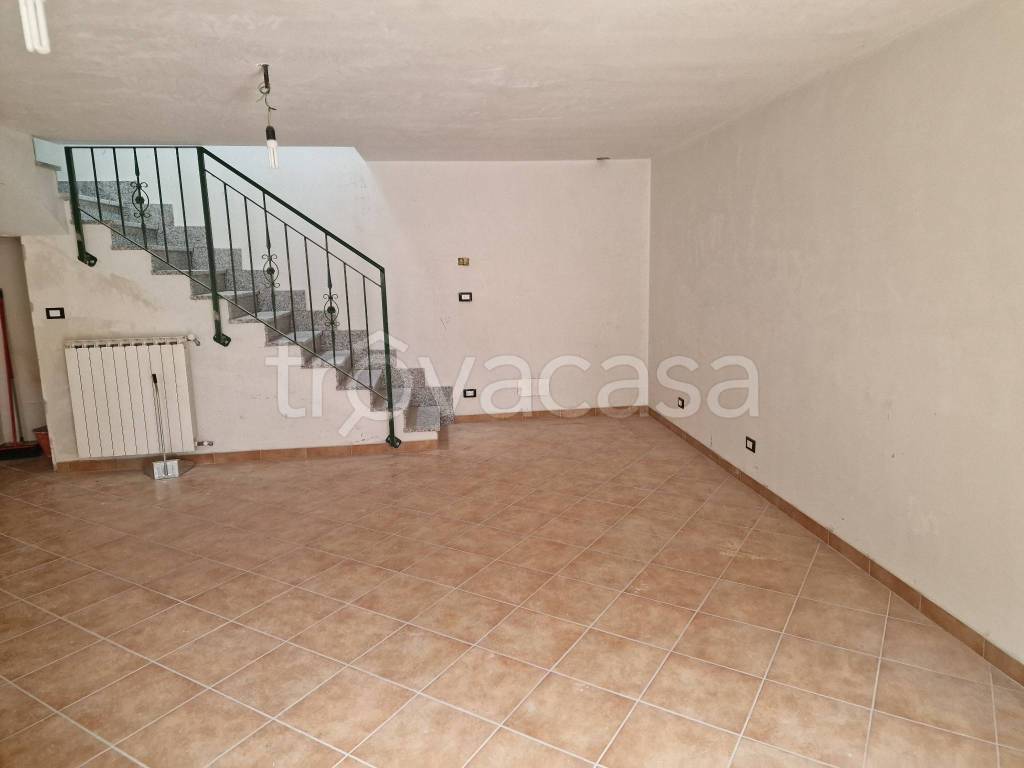 immagine annuncio 2 di 12