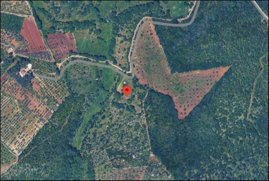 immagine annuncio 11 di 12