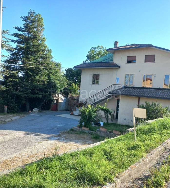 immagine annuncio 2 di 7