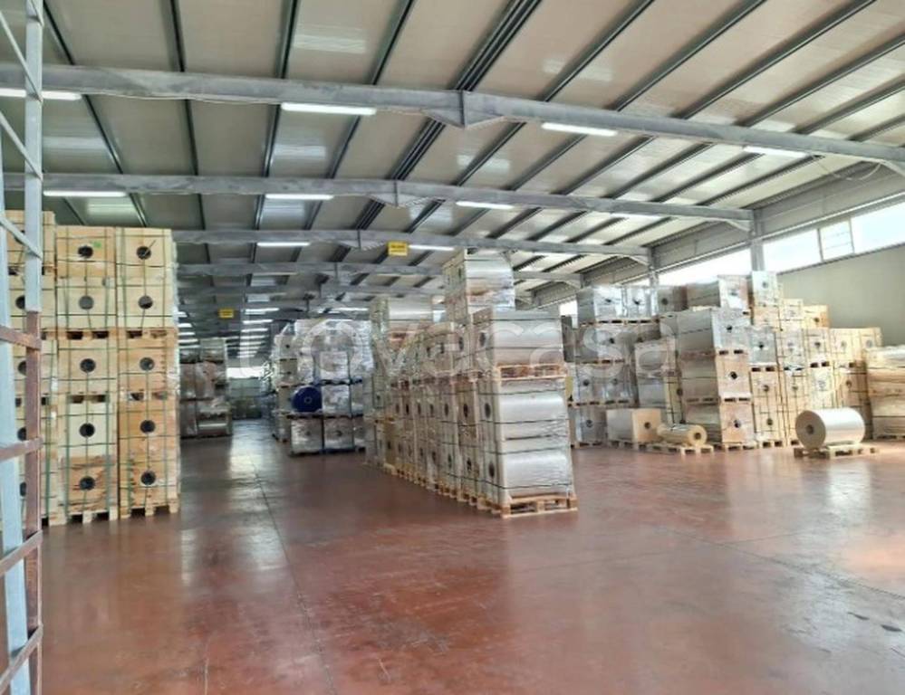 immagine annuncio 3 di 13