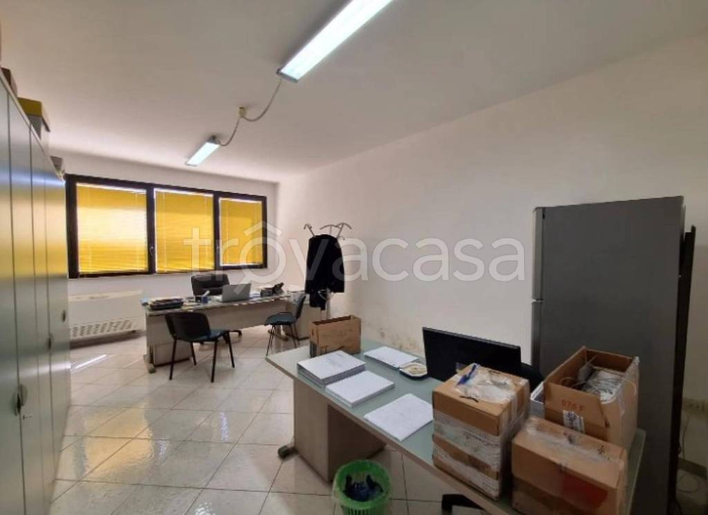 immagine annuncio 7 di 13