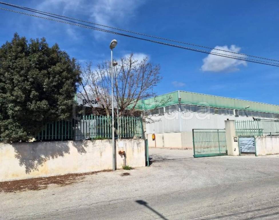 immagine annuncio 11 di 13