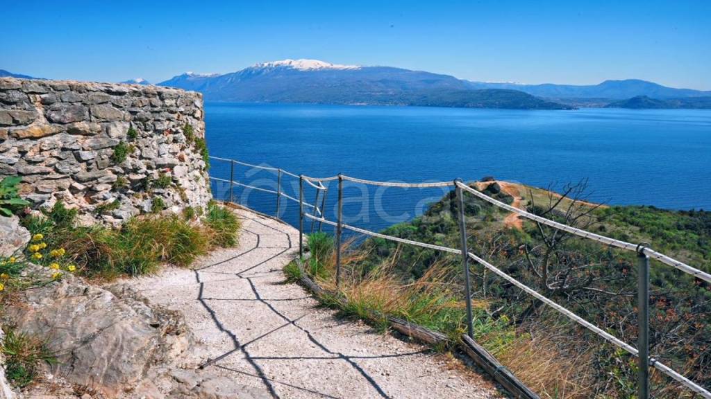 immagine annuncio 7 di 14