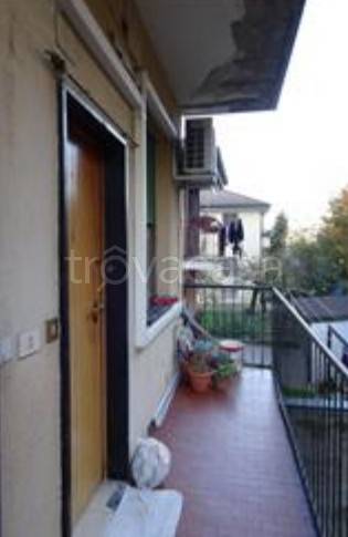 immagine annuncio 6 di 8