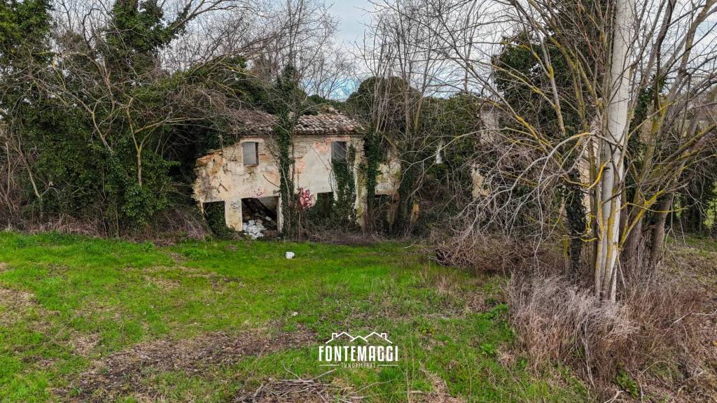 immagine annuncio 1 di 9