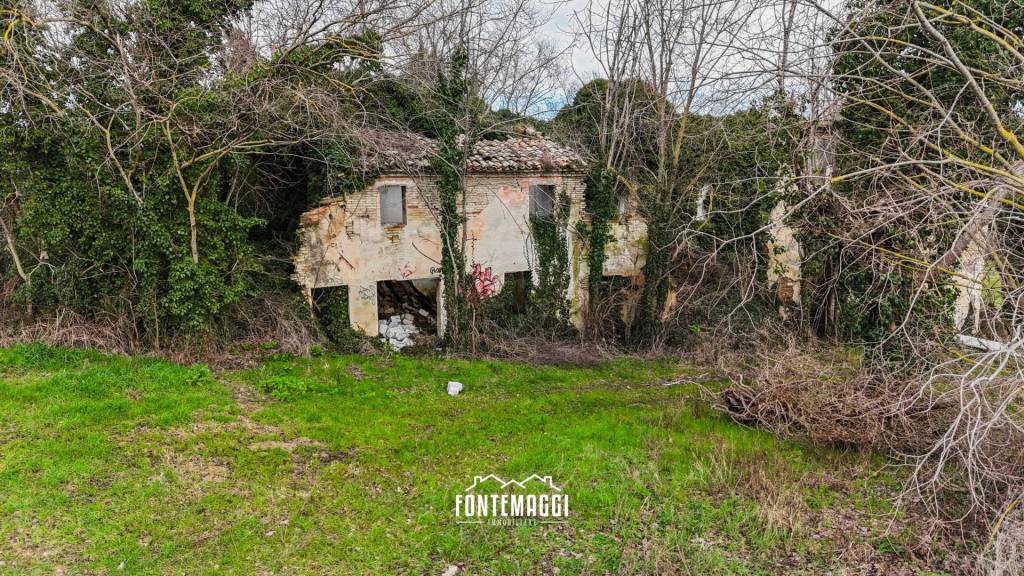 immagine annuncio 2 di 9