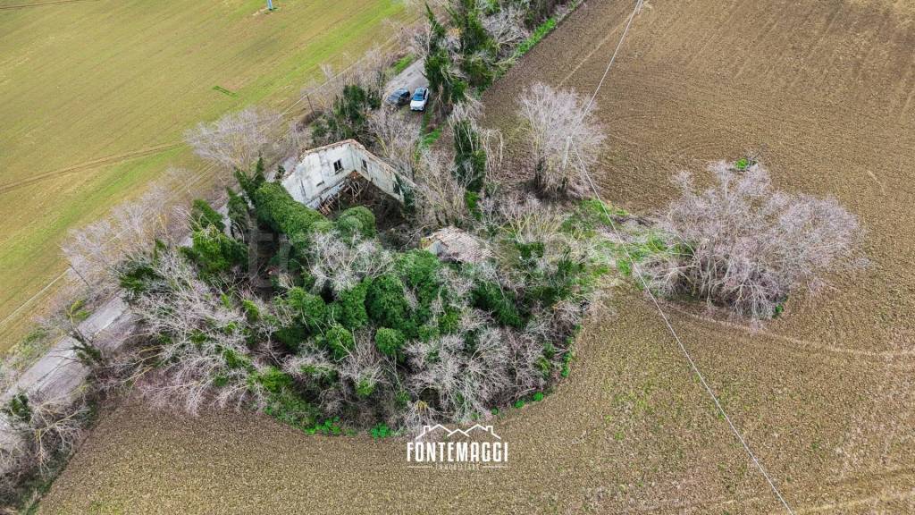 immagine annuncio 4 di 9