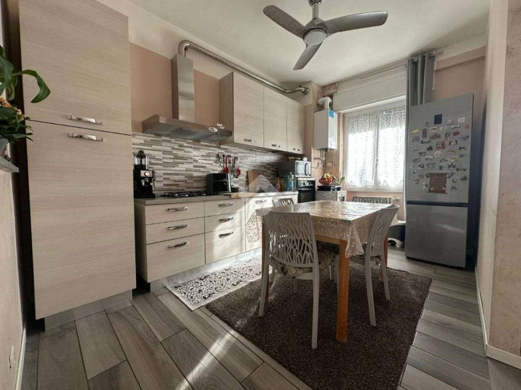 immagine annuncio 1 di 14