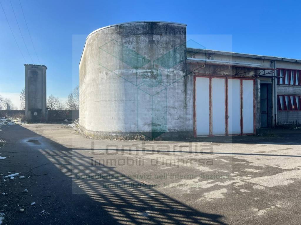 immagine annuncio 9 di 15