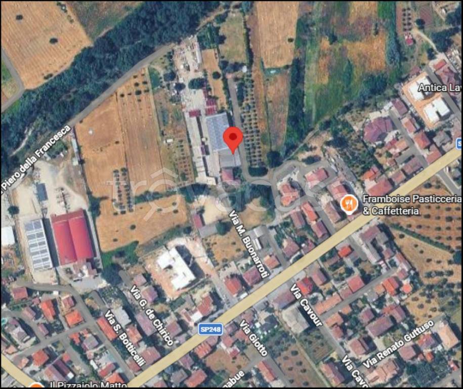 immagine annuncio 11 di 12