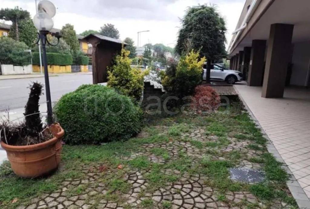 immagine annuncio 2 di 15