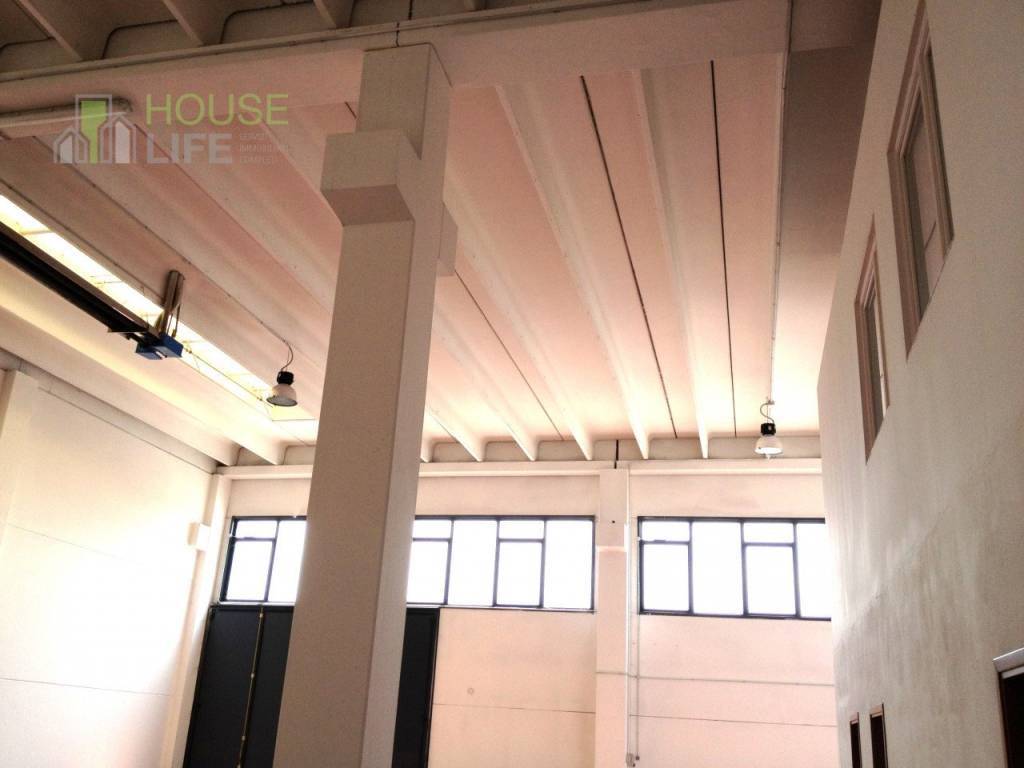 immagine annuncio 8 di 11