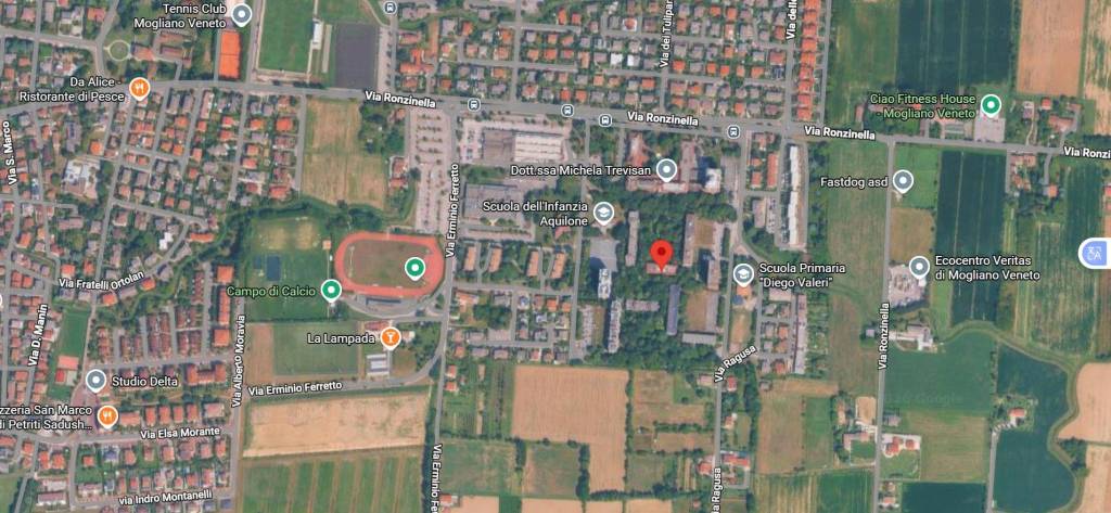 immagine annuncio 13 di 14