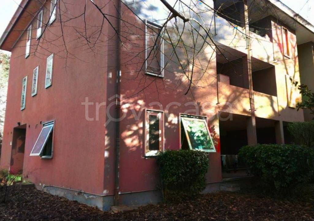 immagine annuncio 3 di 14