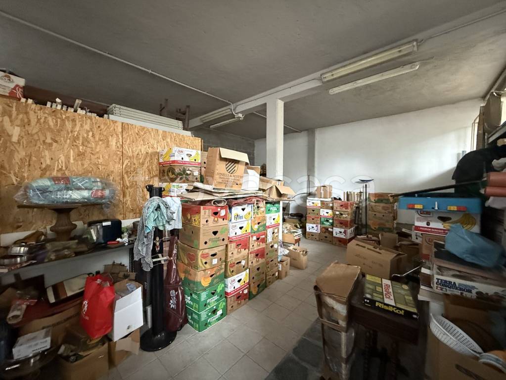 immagine annuncio 11 di 13