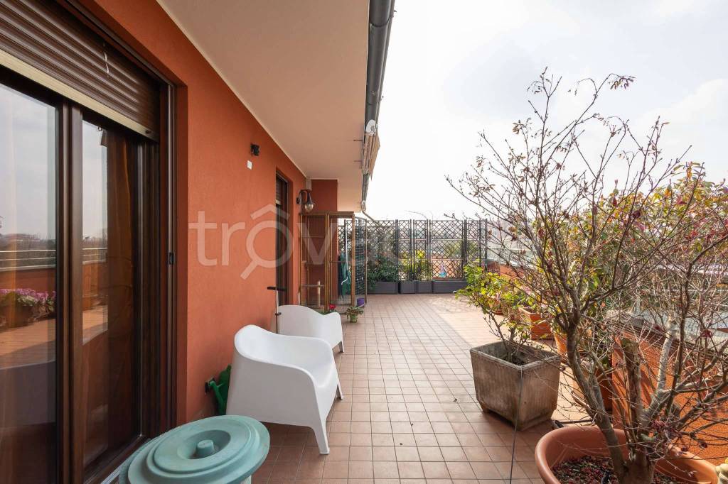 immagine annuncio 6 di 15