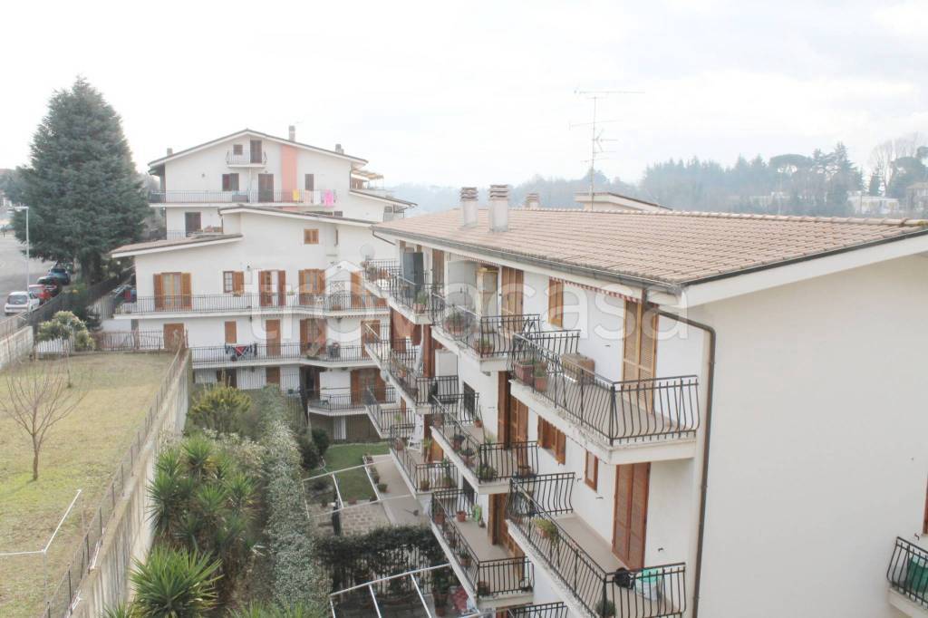 immagine annuncio 2 di 14