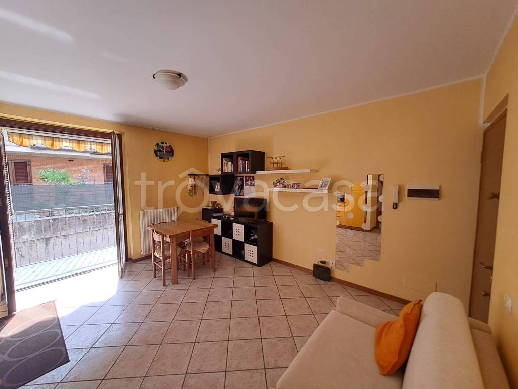 immagine annuncio 4 di 8