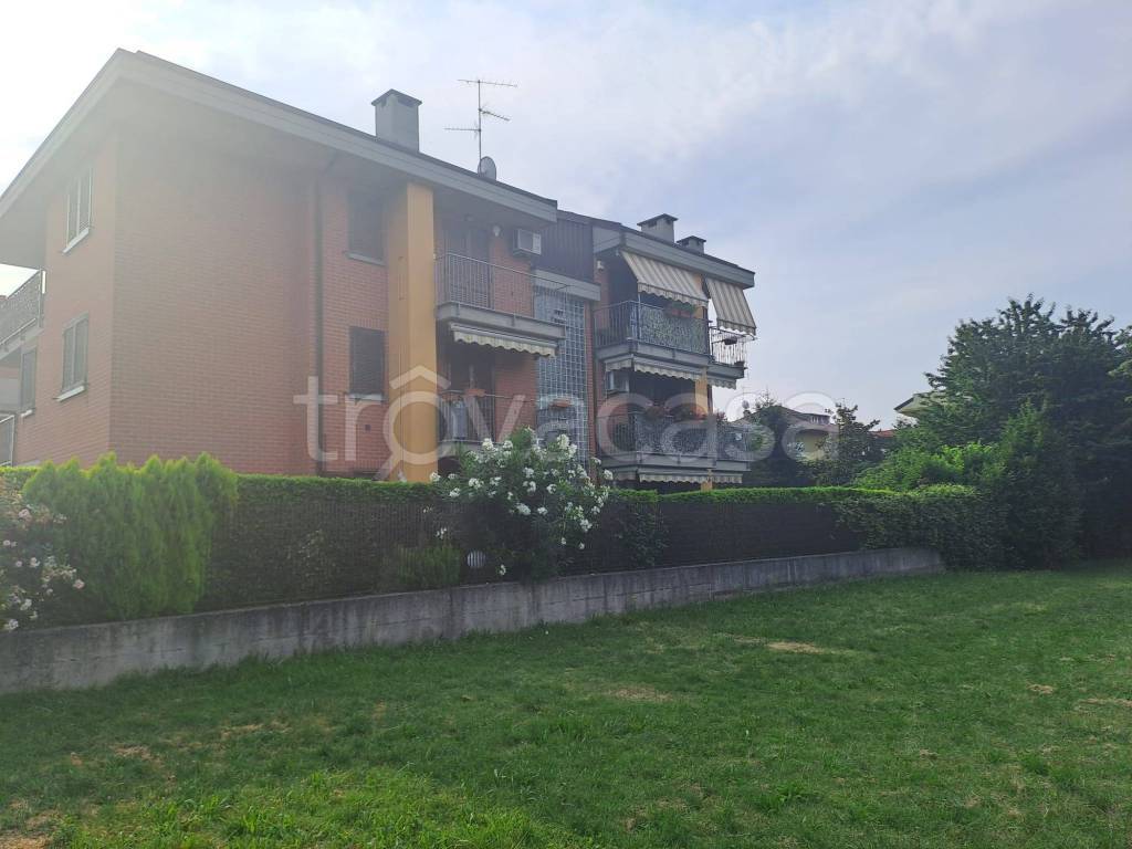 immagine annuncio 7 di 8