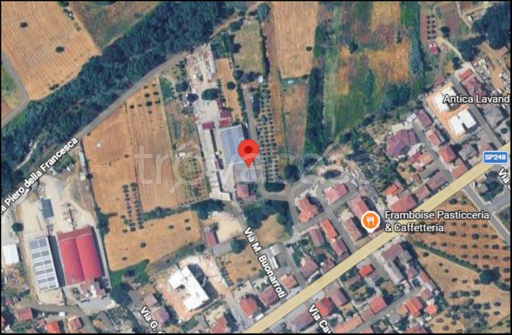 immagine annuncio 11 di 12