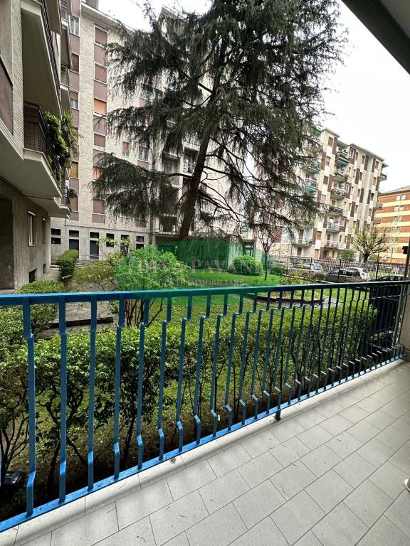 immagine annuncio 11 di 14