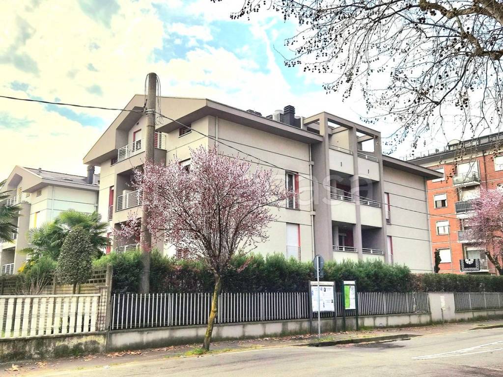 immagine annuncio 1 di 15