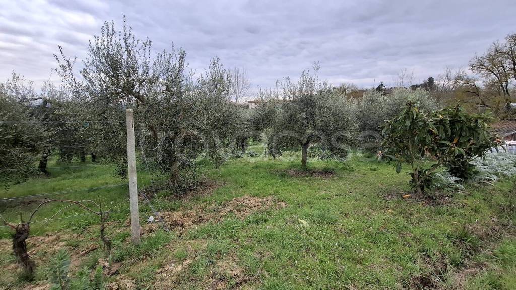 immagine annuncio 4 di 9