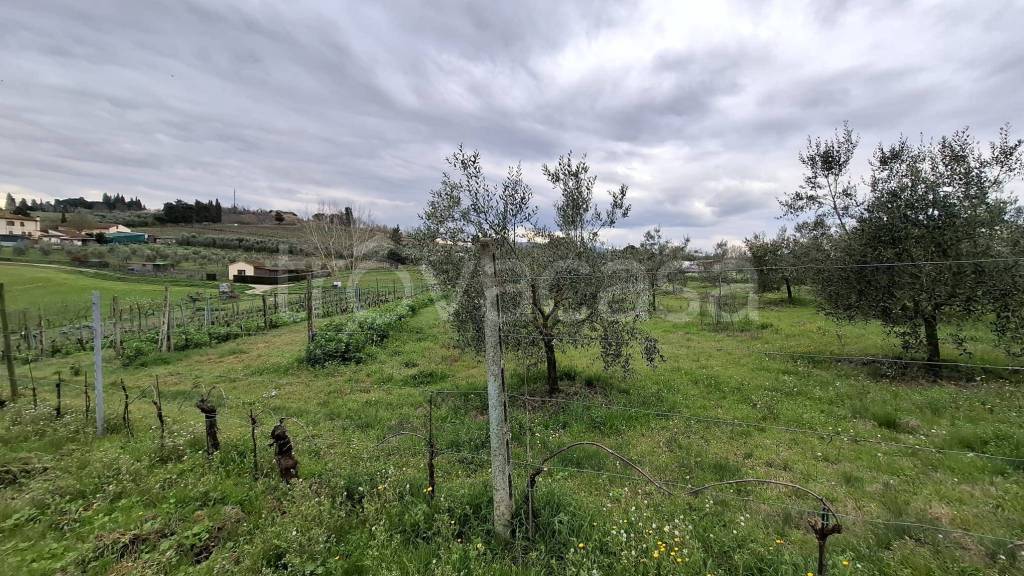 immagine annuncio 5 di 9