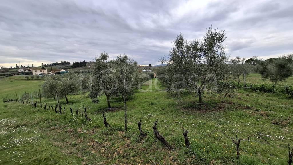 immagine annuncio 6 di 9