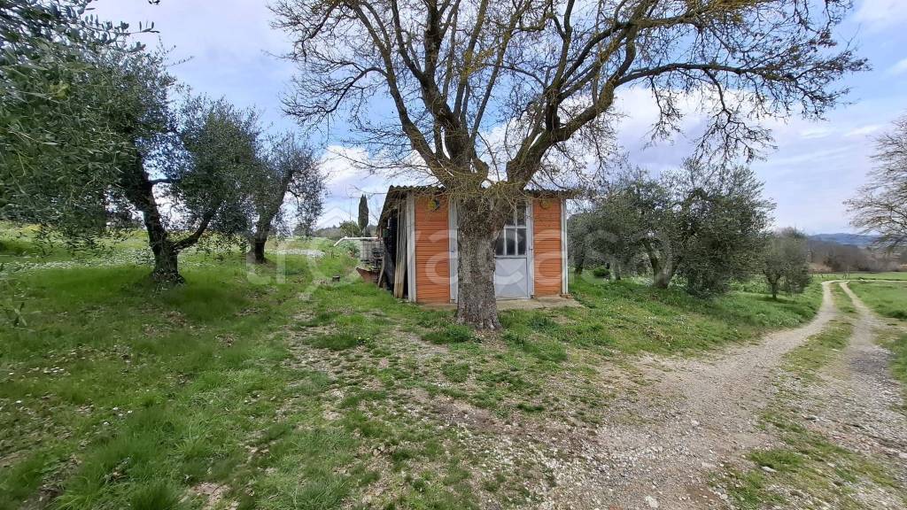 immagine annuncio 2 di 9