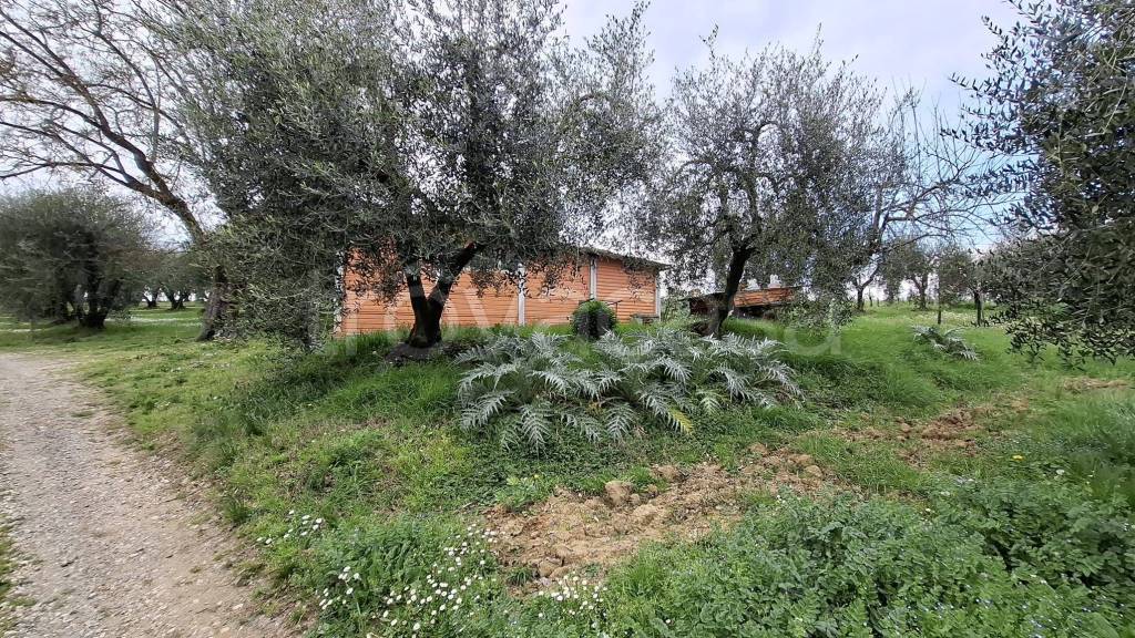 immagine annuncio 3 di 9