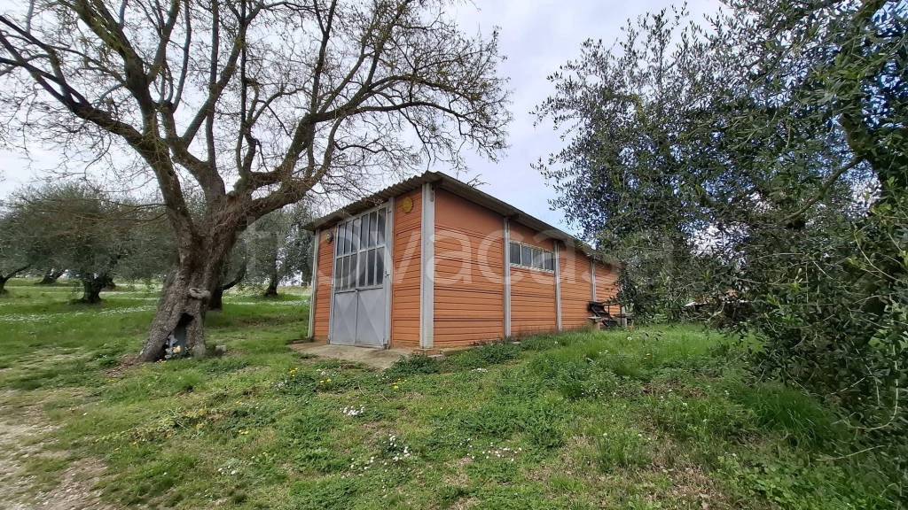 immagine annuncio 1 di 9