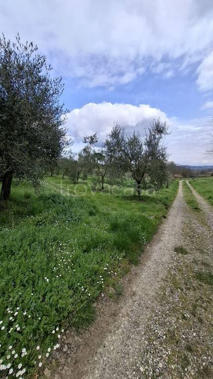 immagine annuncio 7 di 9