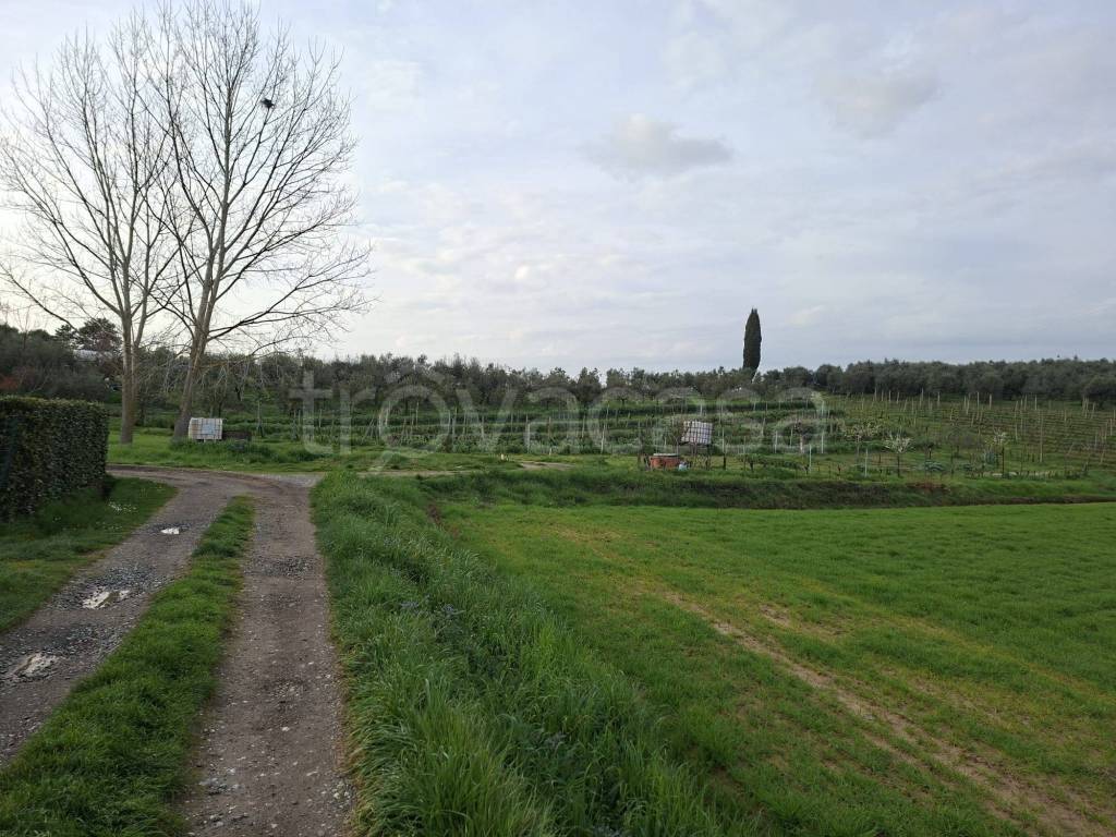 immagine annuncio 8 di 9