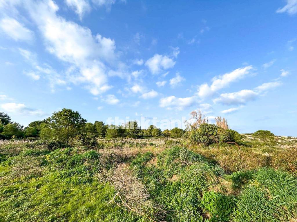 immagine annuncio 9 di 13