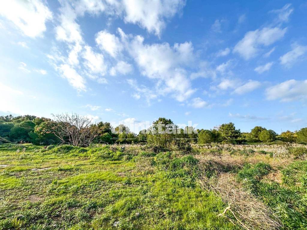 immagine annuncio 10 di 13