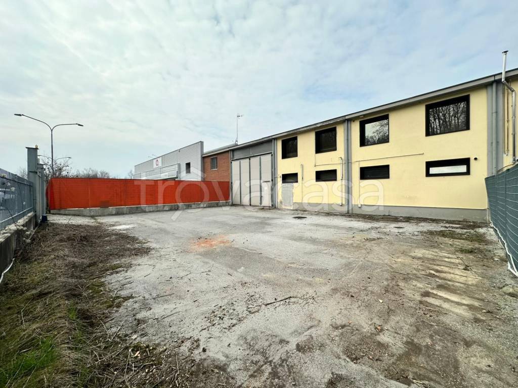 immagine annuncio 4 di 15