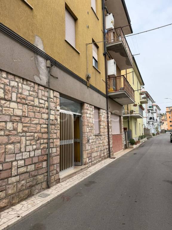 immagine annuncio 2 di 14