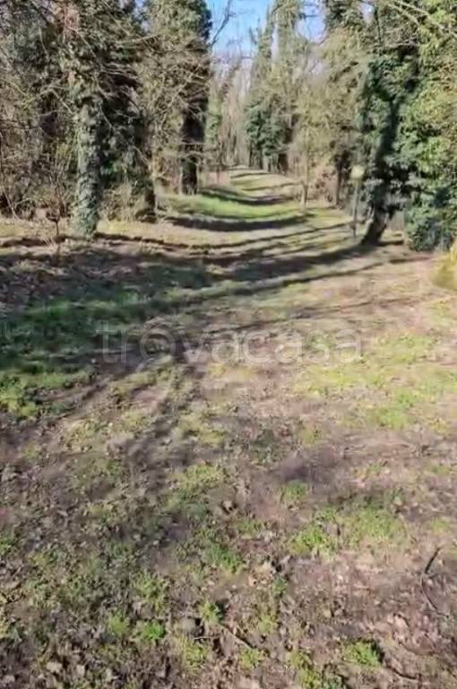 immagine annuncio 3 di 4