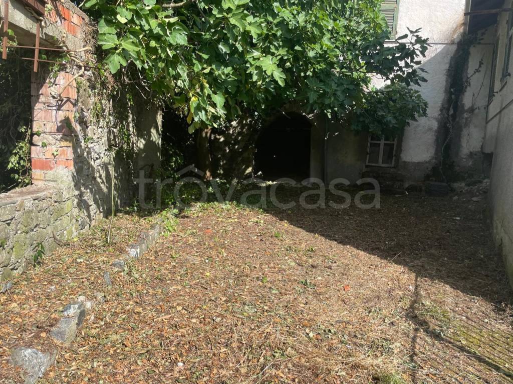 immagine annuncio 4 di 14