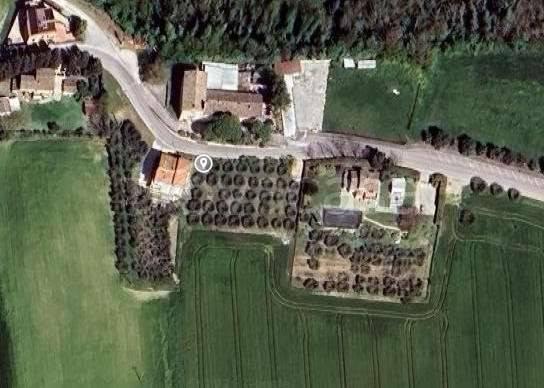 immagine annuncio 4 di 8